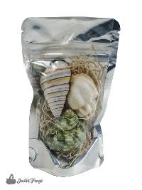 Assorted Small Hermit Crab Shells (3 pack)