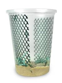 6 PACK - Hornworm Habitat Cup (12 Count Cup) FREE SHIPPING