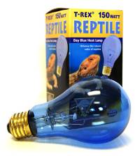 T-Rex Day Blue Heat Lamp (150 Watt)