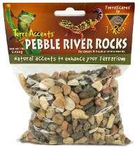 T-Rex Terra Accents Pebble River Rocks