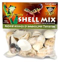 T-Rex Terra Accents Shell Mix