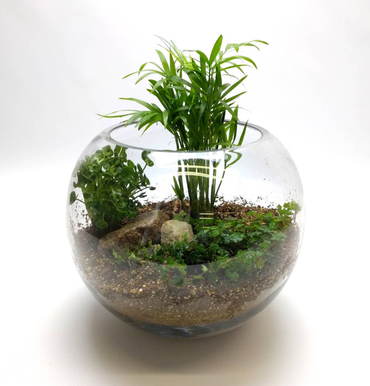 Create a DIY custom plant terrarium! Watch our simple How-To Video