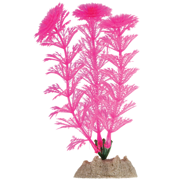 Tetra GloFish Aquarium Plant (Small - Pink)