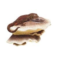 Zilla Vertical Mushroom